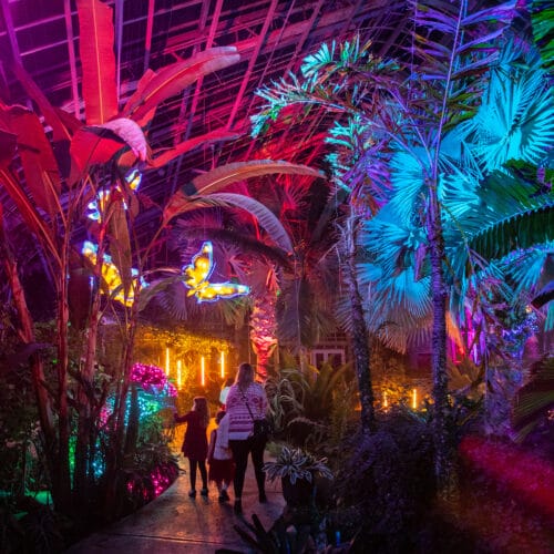 Bright Nights at Lauritzen Gardens