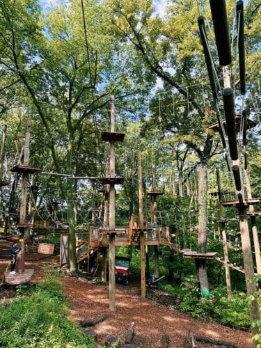 TreeRush Adventure