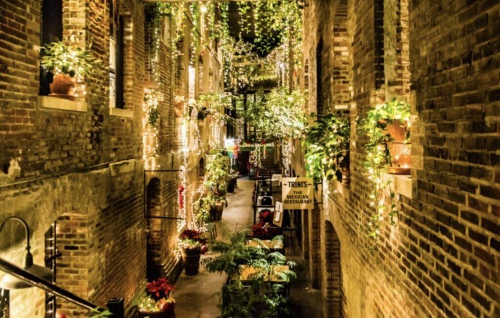 Lights Walk