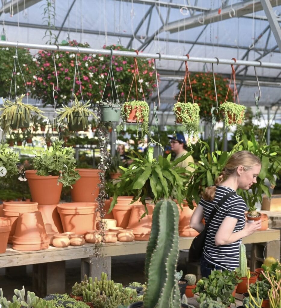 21st Annual Cactus & Succulent Show