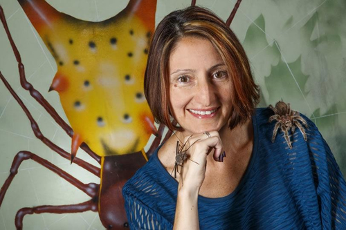 Science Cafe: “Sex, Silk, and Eight Legs: The Wild World of Spiders”